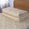 Baimingjian Healthy Luxury Of Compound Usees A Quilt More